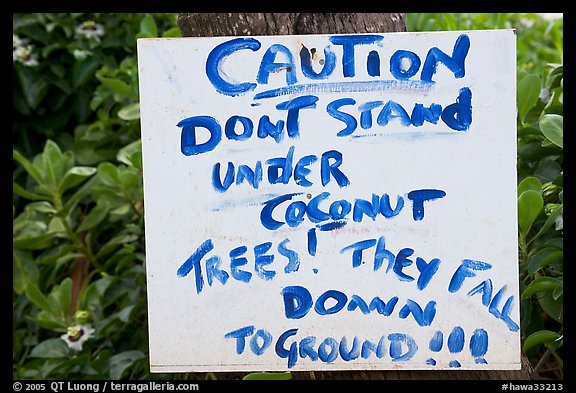 Hand written sign cautioning against falling coconut. Kauai island, Hawaii, USA (color)