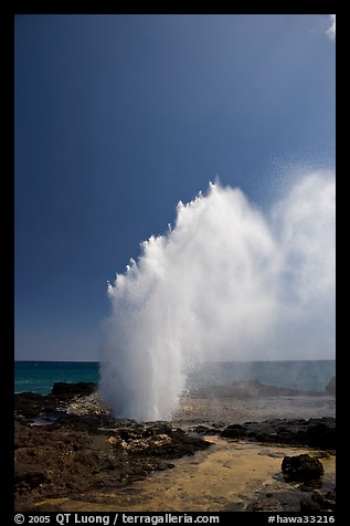 Stream of water shooting up from blowhole. Kauai island, Hawaii, USA (color)