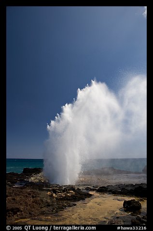 Stream of water shooting up from blowhole. Kauai island, Hawaii, USA