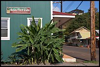 Side of a store building, Hanapepe. Kauai island, Hawaii, USA (color)