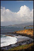 Coastline north of Kapaa, early morning. Kauai island, Hawaii, USA