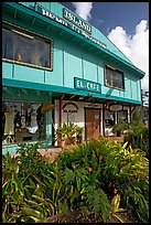 Island Hemp and Cotton store in Kapaa. Kauai island, Hawaii, USA (color)