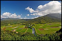 Hanalei Valley from Hanalei lookout. Kauai island, Hawaii, USA (color)