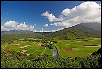 Hanalei Valley from Hanalei lookout. Kauai island, Hawaii, USA