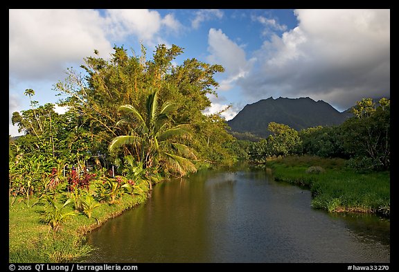 River near Hanalei. North shore, Kauai island, Hawaii, USA