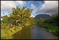 River near Hanalei. North shore, Kauai island, Hawaii, USA (color)