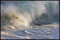 Breaking wave. North shore, Kauai island, Hawaii, USA (color)