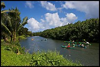 Kayaks, Hanalei River. Kauai island, Hawaii, USA ( color)