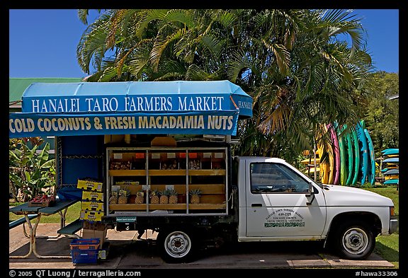 Pickup truck transformed into a fruit stand. Kauai island, Hawaii, USA (color)