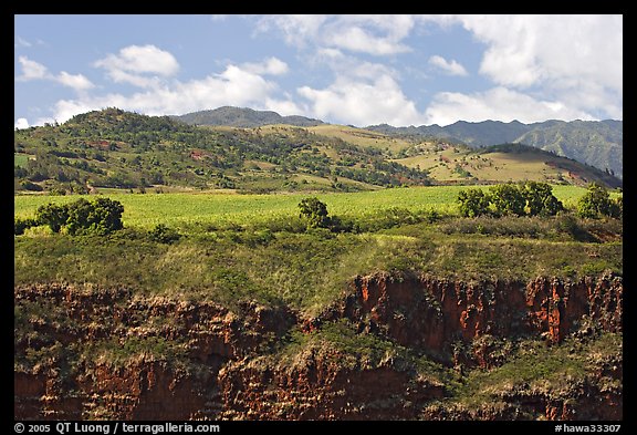 Cliff, field, and hills, Hanapepe overlook. Kauai island, Hawaii, USA