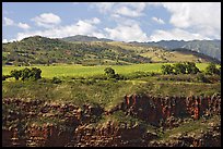 Cliff, field, and hills, Hanapepe overlook. Kauai island, Hawaii, USA (color)