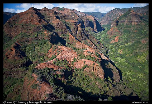 Aerial view of Waimea Canyon. Kauai island, Hawaii, USA (color)