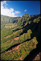 Aerial view of a valley, Na Pali Coast. Kauai island, Hawaii, USA ( color)