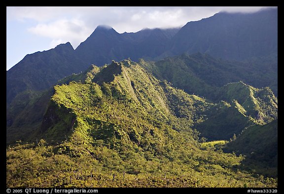 Aerial view of slopes of Mt Waialeale. Kauai island, Hawaii, USA
