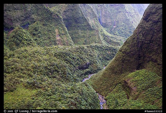 Aerial view of a valley on the slopes of Mt Waialeale. Kauai island, Hawaii, USA