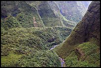 Aerial view of a valley on the slopes of Mt Waialeale. Kauai island, Hawaii, USA