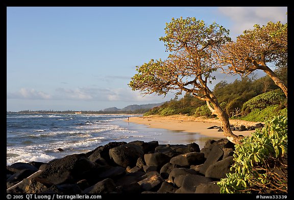 Boulders, trees, and beach, Lydgate Park, early morning. Kauai island, Hawaii, USA