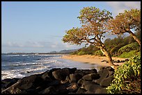 Boulders, trees, and beach, Lydgate Park, early morning. Kauai island, Hawaii, USA