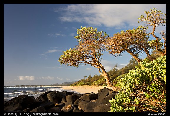 Boulders, trees, and beach, Lydgate Park, early morning. Kauai island, Hawaii, USA