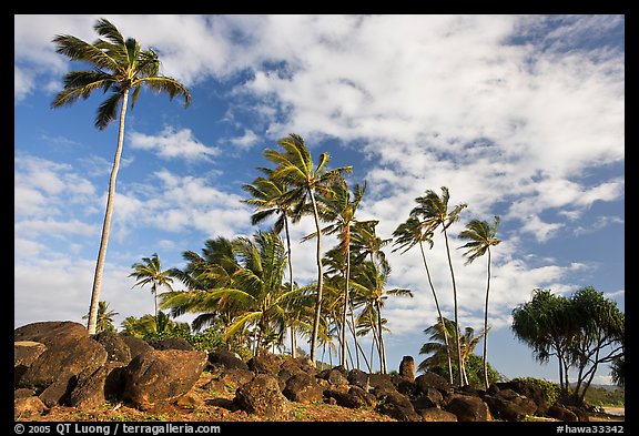 Rocks from a Heiau at the mounth of the Waiula River. Kauai island, Hawaii, USA (color)