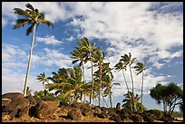 Rocks from a Heiau at the mounth of the Waiula River. Kauai island, Hawaii, USA