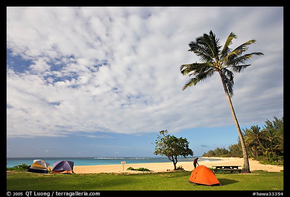 Tents and palm trees, Haena beach park. North shore, Kauai island, Hawaii, USA