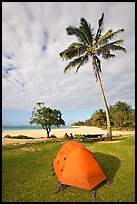 Tent and palm trees, Haena beach park. North shore, Kauai island, Hawaii, USA