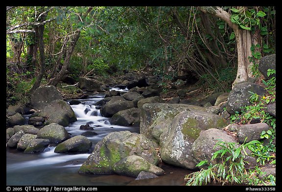 Stream, Haena beach park. North shore, Kauai island, Hawaii, USA (color)