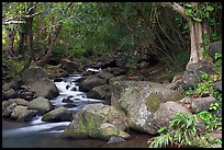 Stream, Haena beach park. North shore, Kauai island, Hawaii, USA