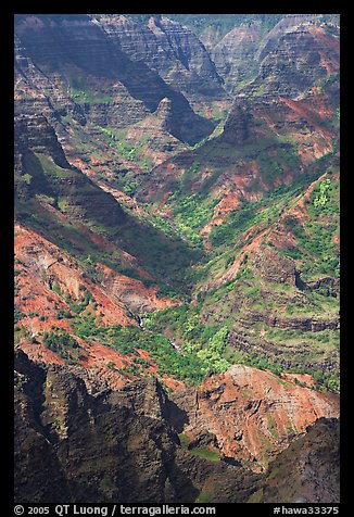 Shadows across Waimea Canyon, afternoon. Kauai island, Hawaii, USA