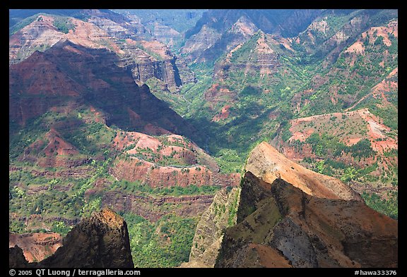 Shadows across Waimea Canyon, afternoon. Kauai island, Hawaii, USA (color)