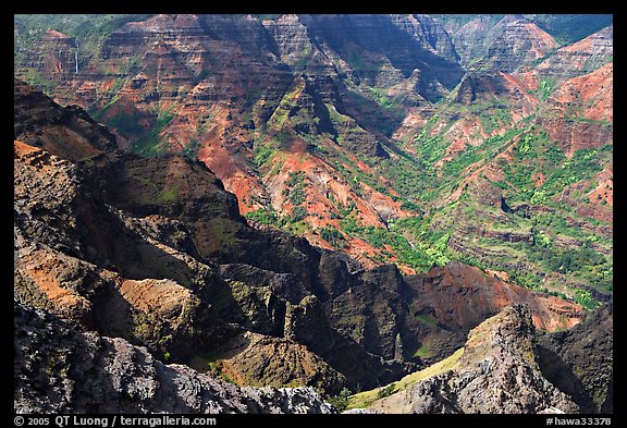 Waimea Canyon, afternoon. Kauai island, Hawaii, USA (color)