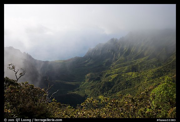 Kalalau Valley and mist, late afternoon. Kauai island, Hawaii, USA