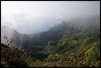 Kalalau Valley and mist, late afternoon. Kauai island, Hawaii, USA ( color)