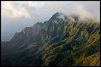 Lush Hills above Kalalau Valley, seen from the Pihea Trail, late afternoon. Kauai island, Hawaii, USA
