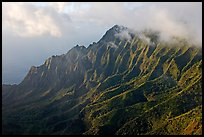 Lush Hills above Kalalau Valley, seen from the Pihea Trail, late afternoon. Kauai island, Hawaii, USA (color)