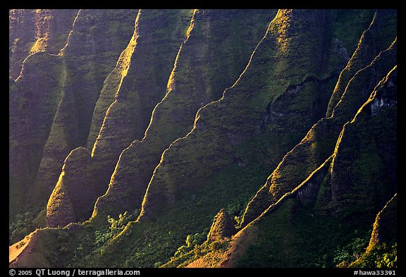 Ridges, Kalalau Valley, sunset. Kauai island, Hawaii, USA (color)