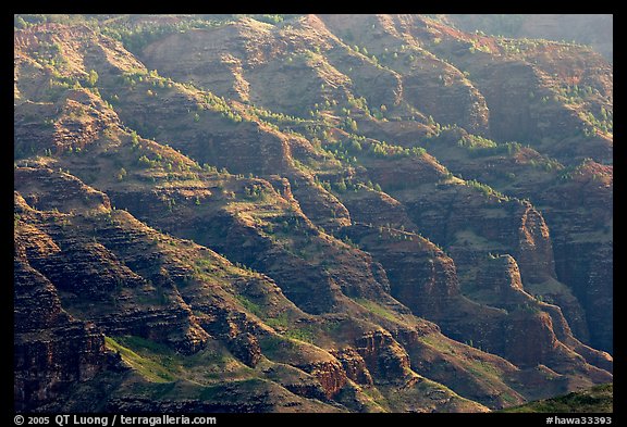 Ridges, lower Waimea Canyon, early morning. Kauai island, Hawaii, USA