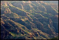 Ridges, lower Waimea Canyon, early morning. Kauai island, Hawaii, USA