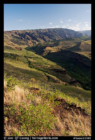 Valley carved by the Waimea River, lower Waimea Canyon, early morning. Kauai island, Hawaii, USA