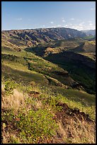 Valley carved by the Waimea River, lower Waimea Canyon, early morning. Kauai island, Hawaii, USA ( color)