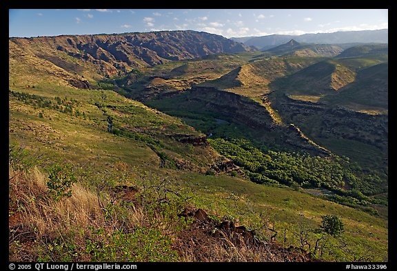 Valley carved by the Waimea River, lower Waimea Canyon, early morning. Kauai island, Hawaii, USA