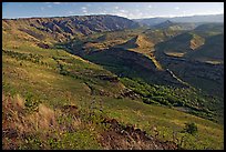 Valley carved by the Waimea River, lower Waimea Canyon, early morning. Kauai island, Hawaii, USA