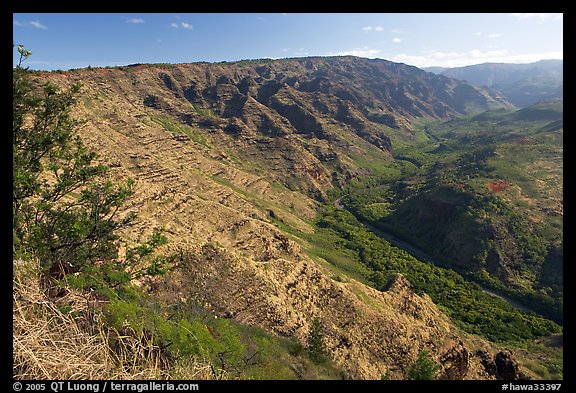 Valley carved by the Waimea River, lower Waimea Canyon, early morning. Kauai island, Hawaii, USA