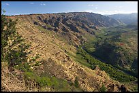 Valley carved by the Waimea River, lower Waimea Canyon, early morning. Kauai island, Hawaii, USA ( color)