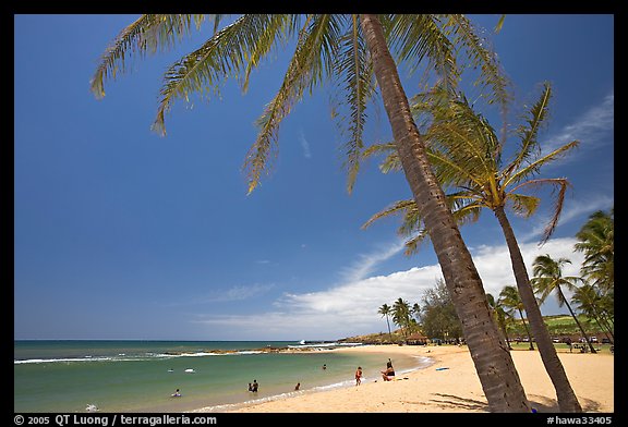 Coconut trees and Salt Pond Beach, mid-day. Kauai island, Hawaii, USA (color)