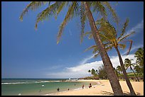 Coconut trees and Salt Pond Beach, mid-day. Kauai island, Hawaii, USA