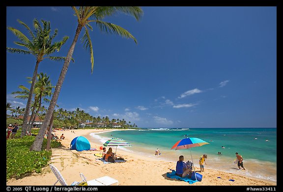 Sun unbrellas and palm trees, mid-day, Poipu Beach. Kauai island, Hawaii, USA (color)