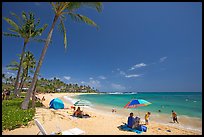 Sun unbrellas and palm trees, mid-day, Poipu Beach. Kauai island, Hawaii, USA