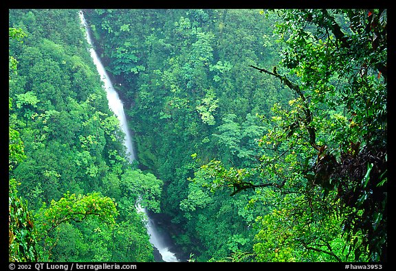 Kahuna Falls. Akaka Falls State Park, Big Island, Hawaii, USA (color)